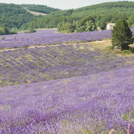 Bed And Breakfast En Haute-Provence Ongles