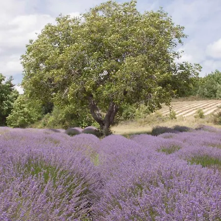住宿加早餐酒店 Bed And Breakfast En Haute-Provence *