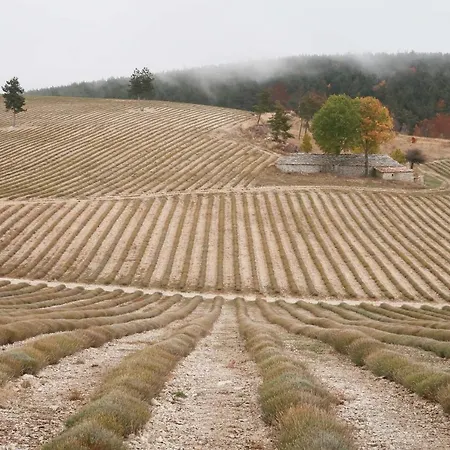 Bed And Breakfast En Haute-Provence * Ongles